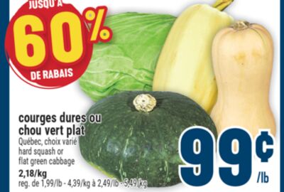 courges dures ou chou vert plat | hard squash or flat green cabbage
