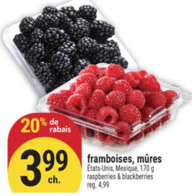 framboises, mûres | raspberries & blackberries