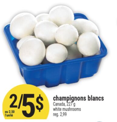 CHAMPIGNONS BLANCS | WHITE MUSHROOMS