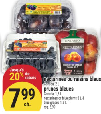 NECTARINES OU RAISINS BLEUS OU PRUNES BLEUES | NECTARINES OR BLUE PLUMS OR BLUE GRAPES