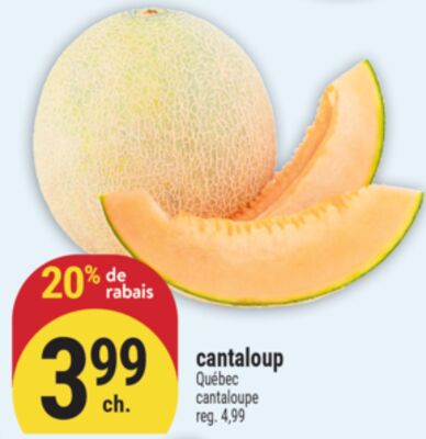 CANTALOUP | CANTALOUPE
