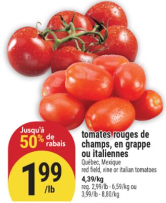 tomates rouges de champs, en grappe ou italiennes | red field, vine or italian tomatoes