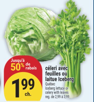 céleri avec feuilles ou laitue Iceberg | Iceberg lettuce or celery with leaves