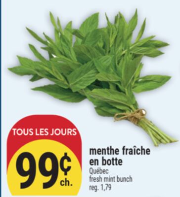 MENTHE FRAÎCHE EN BOTTE | FRESH MINT BUNCH