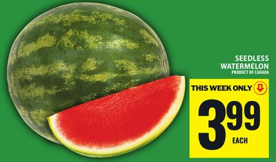 Seedless Watermelon