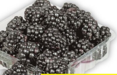 RASPBERRIES PRODUCT OF U.S.A. OR MEXICO, NO.1 GRADE 170 G BLACKBERRIES PRODUCT OF MEXICO, NO. 1 GRADE 150 - 170 G