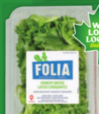 Baby Carrots, Folia Lettuce