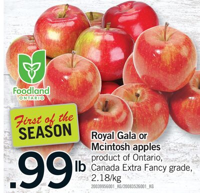 Royal Gala Or Mcintosh Apples