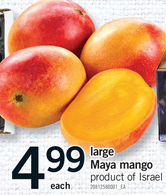 Large Maya Mango