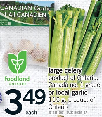 LARGE CELERY OR LOCAL GARLIC, 115 G