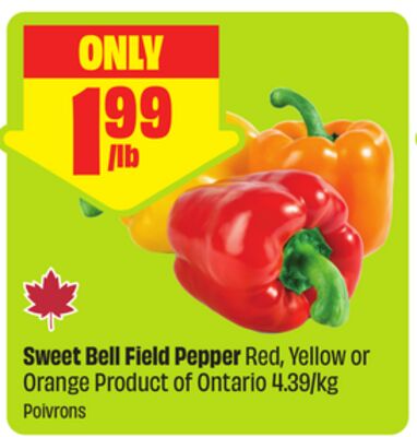 Sweet Bell Field Pepper Red, Yellow or Orange Product of Ontario