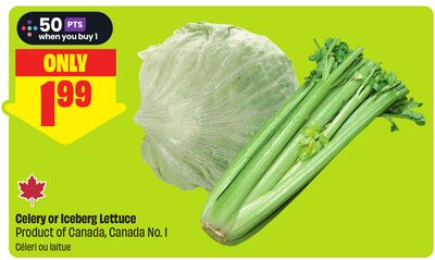 Celery or Iceberg Lettuce