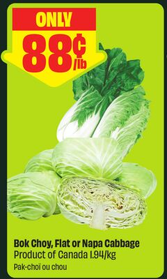 Bok Choy, Flat or Napa Cabbage - FreshCo Mid-Autumn