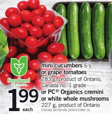 MINI CUCUMBERS, 6'S OR GRAPE TOMATOES, 283 G OR PC ORGANICS CREMINI OR WHITE WHOLE MUSHROOMS, 227 G