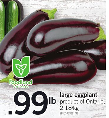 Large Eggplant