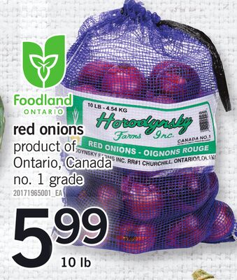 RED ONIONS, 10 LB
