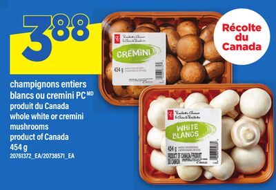 CHAMPIGNONS ENTIERS BLANCS OU CREMINI | WHOLE WHITE OR CREMINI MUSHROOMS, 454 g