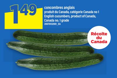 Concombres Anglais