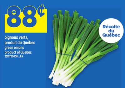 OIGNONS VERTS | GREEN ONIONS