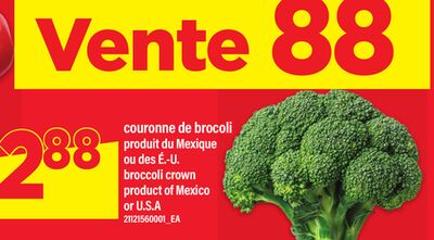 COURONNE DE BROCOLI | BROCCOLI CROWN