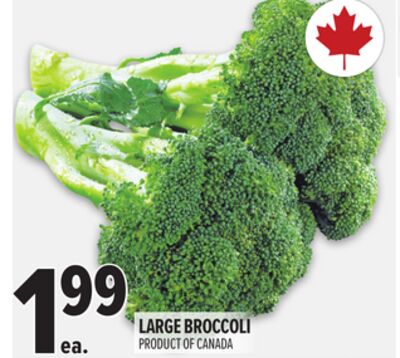 Large Broccoli