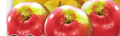 Large Mcintosh, Paula Red Or Ginger Gold Apples