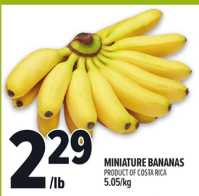 Miniature Bananas