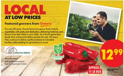RED SHEPHERD PEPPERS, APPROX 11 LB BOX