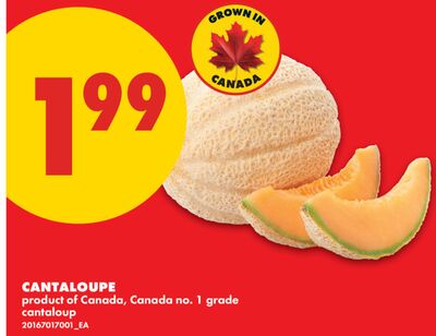 CANTALOUPE