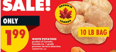 WHITE POTATOES, 10 LB BAG