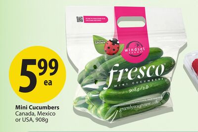 Mini Cucumbers