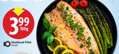 Steelhead Fillet