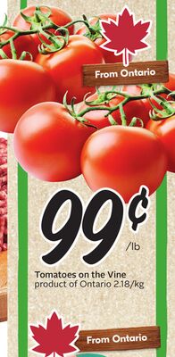 Tomatoes on the Vine