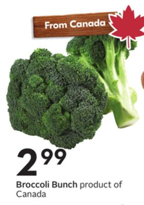 Broccoli Bunch