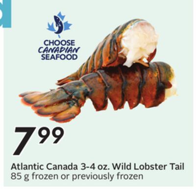 Atlantic Canada 3-4 oz. Wild Lobster Tail