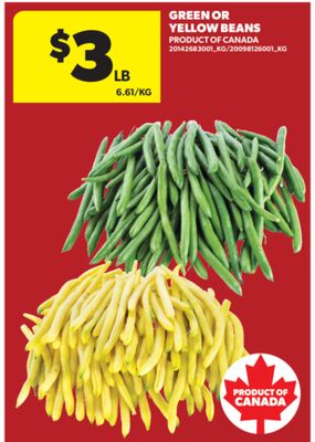 Green Or Yellow Beans