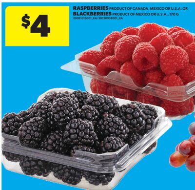 RASPBERRIES OR BLACKBERRIES, 170 G