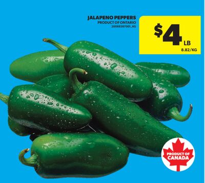 Jalapeno Peppers