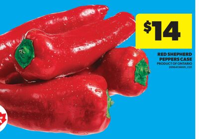 Red Shepherd Peppers Case
