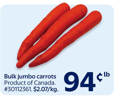Bulk jumbo carrots