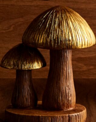 Resin Mushrooms