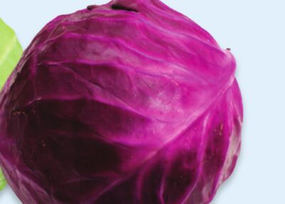 red cabbage