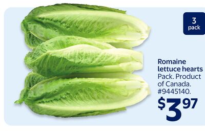 Romaine lettuce hearts