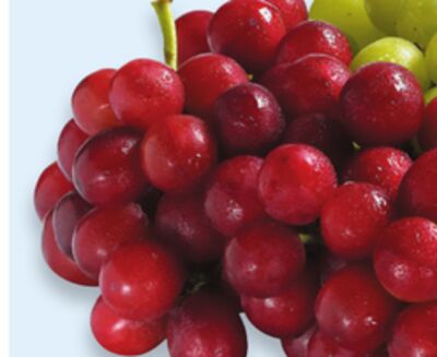 Red or green seedless grapes