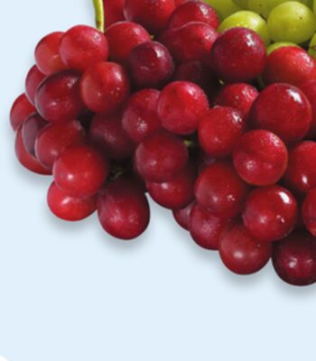 Red seedless grapes