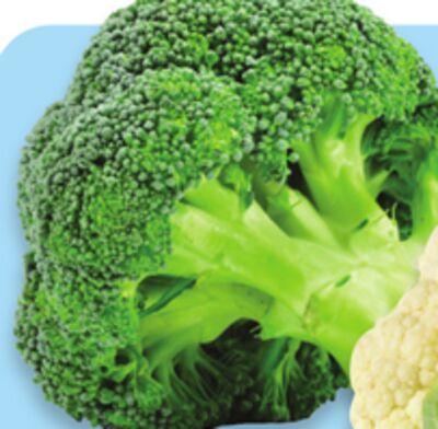 Broccoli stalks
