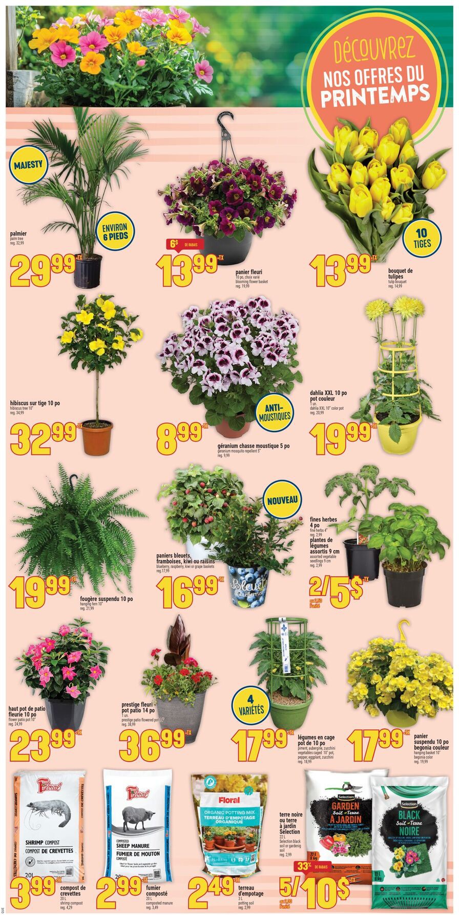 Flyer page 4