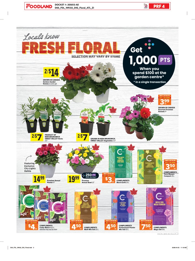 Flyer page 9