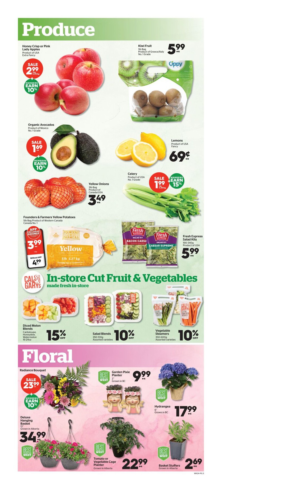 Flyer page 5