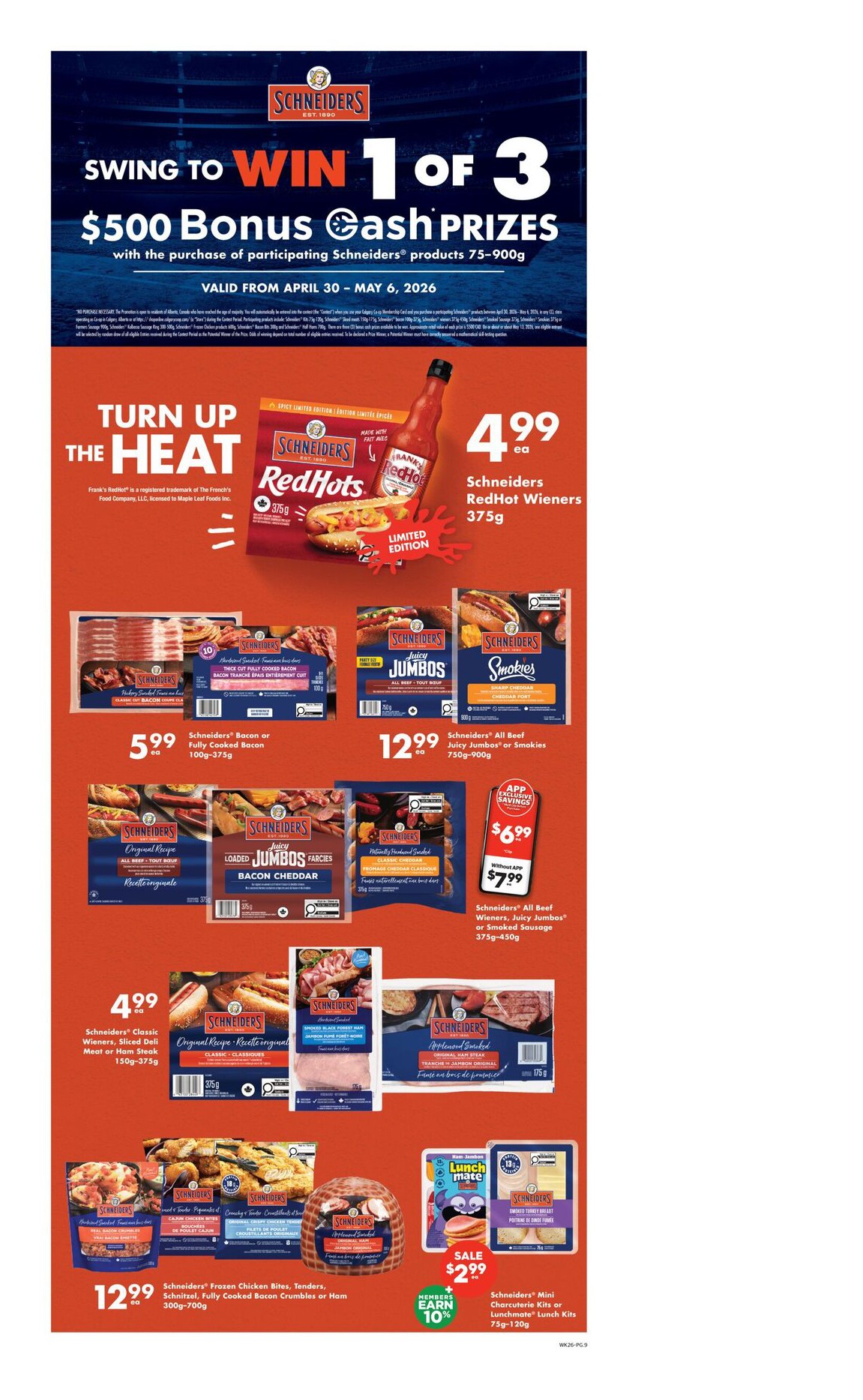 Flyer page 9